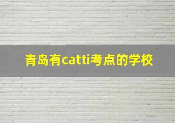 青岛有catti考点的学校