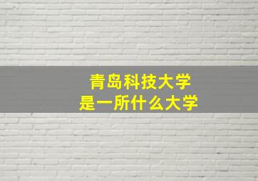 青岛科技大学是一所什么大学