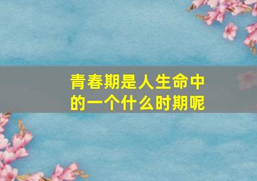 青春期是人生命中的一个什么时期呢