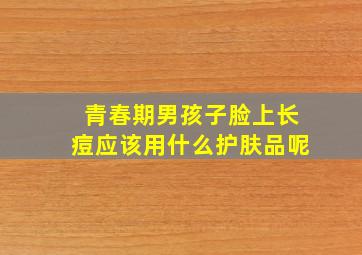 青春期男孩子脸上长痘应该用什么护肤品呢