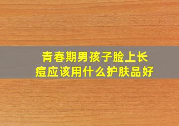 青春期男孩子脸上长痘应该用什么护肤品好