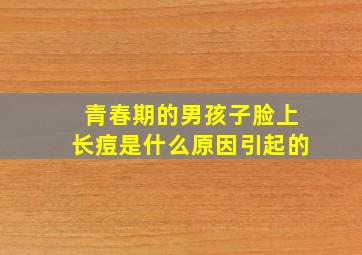 青春期的男孩子脸上长痘是什么原因引起的