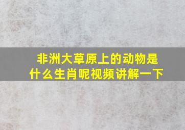 非洲大草原上的动物是什么生肖呢视频讲解一下