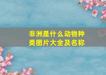 非洲是什么动物种类图片大全及名称