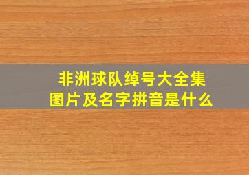 非洲球队绰号大全集图片及名字拼音是什么