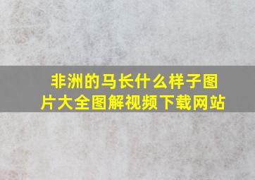 非洲的马长什么样子图片大全图解视频下载网站