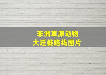 非洲草原动物大迁徙路线图片