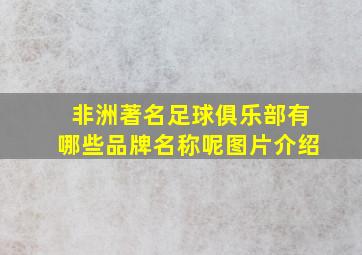 非洲著名足球俱乐部有哪些品牌名称呢图片介绍