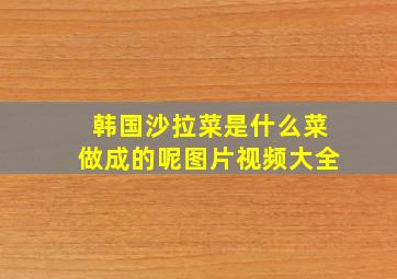 韩国沙拉菜是什么菜做成的呢图片视频大全