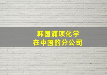 韩国浦项化学在中国的分公司