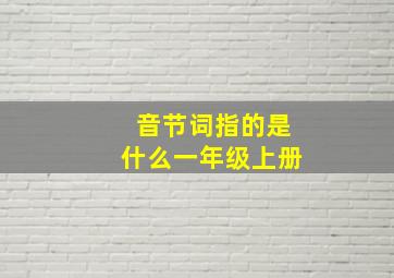 音节词指的是什么一年级上册