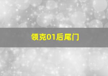 领克01后尾门