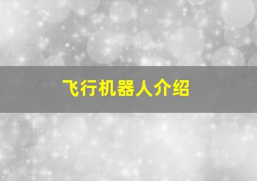 飞行机器人介绍