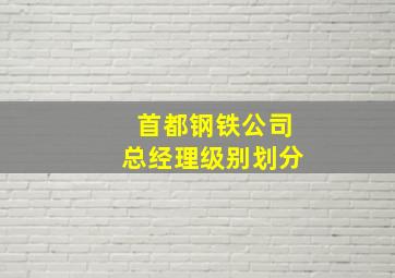 首都钢铁公司总经理级别划分