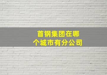 首钢集团在哪个城市有分公司