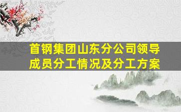 首钢集团山东分公司领导成员分工情况及分工方案