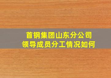 首钢集团山东分公司领导成员分工情况如何