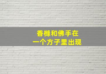 香橼和佛手在一个方子里出现