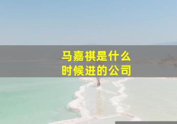 马嘉祺是什么时候进的公司