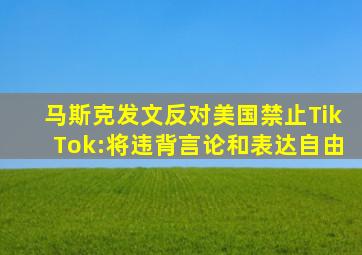 马斯克发文反对美国禁止TikTok:将违背言论和表达自由