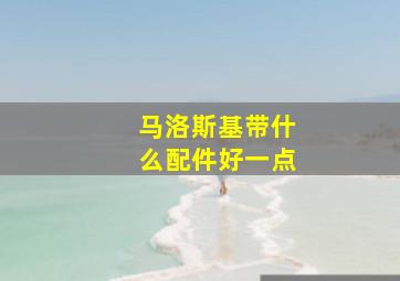 马洛斯基带什么配件好一点