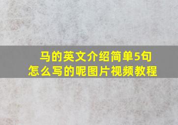 马的英文介绍简单5句怎么写的呢图片视频教程