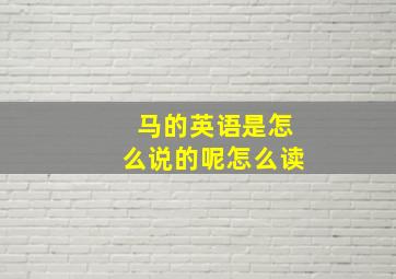 马的英语是怎么说的呢怎么读