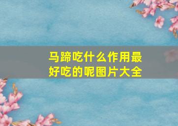 马蹄吃什么作用最好吃的呢图片大全