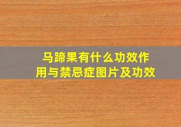 马蹄果有什么功效作用与禁忌症图片及功效