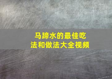 马蹄水的最佳吃法和做法大全视频