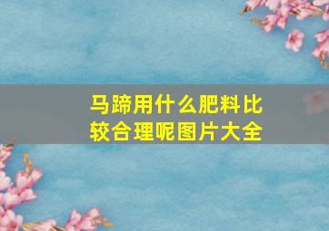 马蹄用什么肥料比较合理呢图片大全