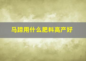 马蹄用什么肥料高产好