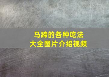 马蹄的各种吃法大全图片介绍视频