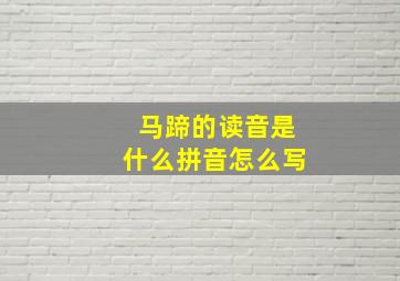 马蹄的读音是什么拼音怎么写