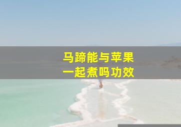 马蹄能与苹果一起煮吗功效