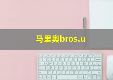 马里奥bros.u