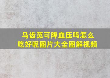 马齿苋可降血压吗怎么吃好呢图片大全图解视频