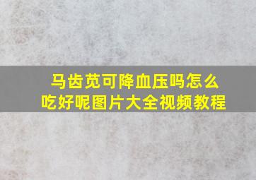 马齿苋可降血压吗怎么吃好呢图片大全视频教程