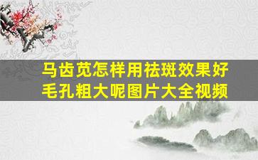 马齿苋怎样用祛斑效果好毛孔粗大呢图片大全视频