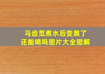 马齿苋煮水后变黑了还能喝吗图片大全图解