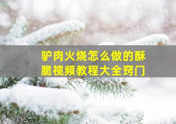 驴肉火烧怎么做的酥脆视频教程大全窍门