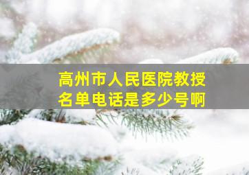 高州市人民医院教授名单电话是多少号啊