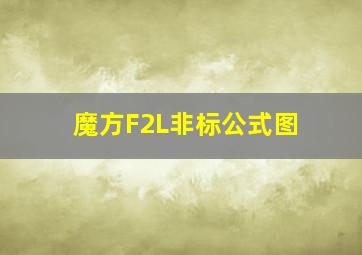 魔方F2L非标公式图