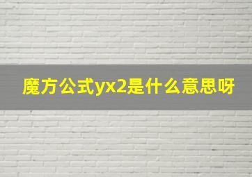 魔方公式yx2是什么意思呀