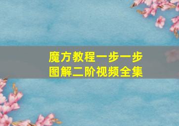 魔方教程一步一步图解二阶视频全集