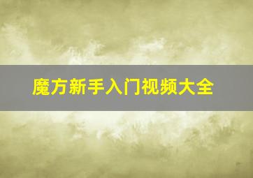 魔方新手入门视频大全