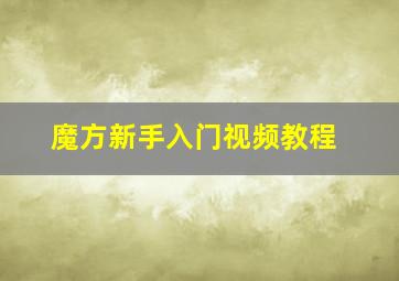 魔方新手入门视频教程