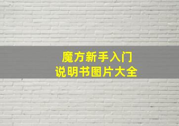 魔方新手入门说明书图片大全