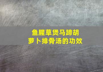 鱼腥草煲马蹄胡萝卜排骨汤的功效