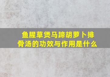 鱼腥草煲马蹄胡萝卜排骨汤的功效与作用是什么